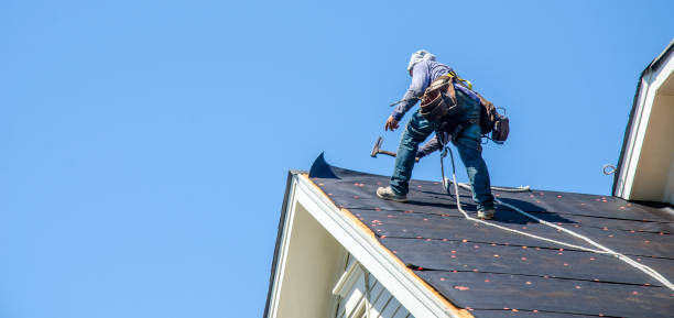 Professional Roofing Contractor in Philo, IL